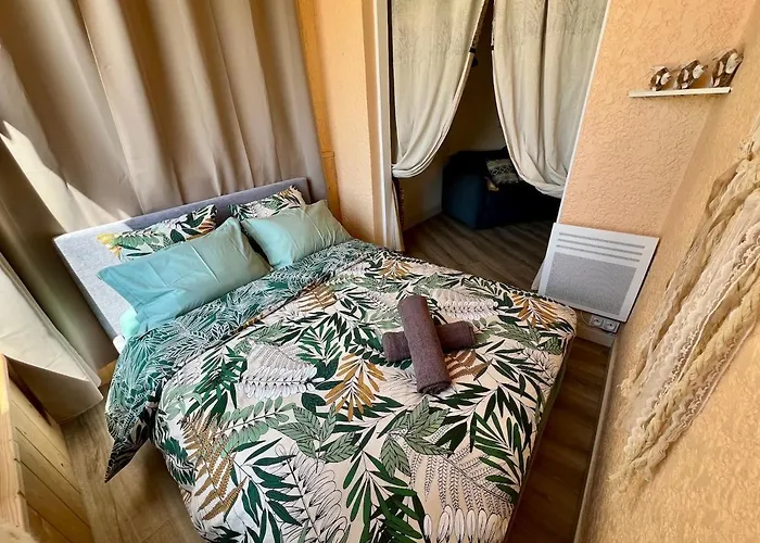 Evasion Cosy Aux Pieds De L'ocean Lacanau