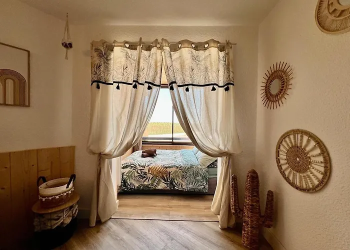 Evasion Cosy Aux Pieds De L'ocean Appartement